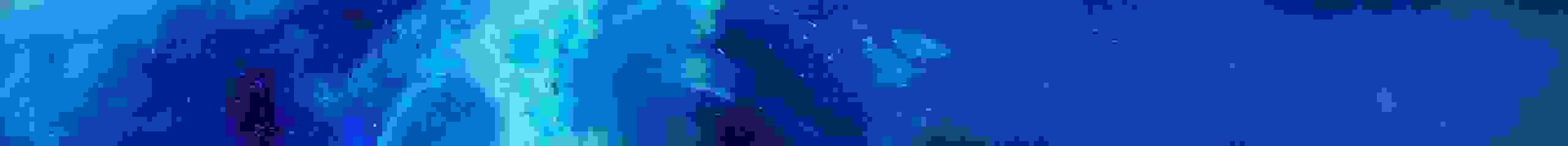 testbild.jpg